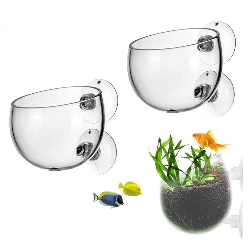 Aquarium Planted Seeds - 新しい水族館植物ポットガラスシリンダーカップ吸盤付き水生植物の種子を栽培サンゴ苔水槽装飾アクセサリー