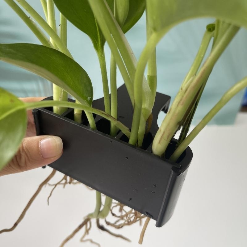 Emersed Plants Aquarium - タンク植物植物の景観水耕栽培ガラス鍋植物栽培ラック貯蔵ラック水槽ファッション植物ホルダー高品質