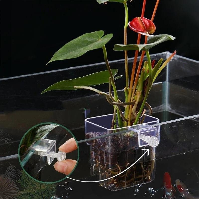 Aquarium Plant Easy To Grow - 透明な吊り下げ式水槽植物ホルダー、水槽への取り付けが簡単、水耕栽培用、家庭用水槽の装飾品