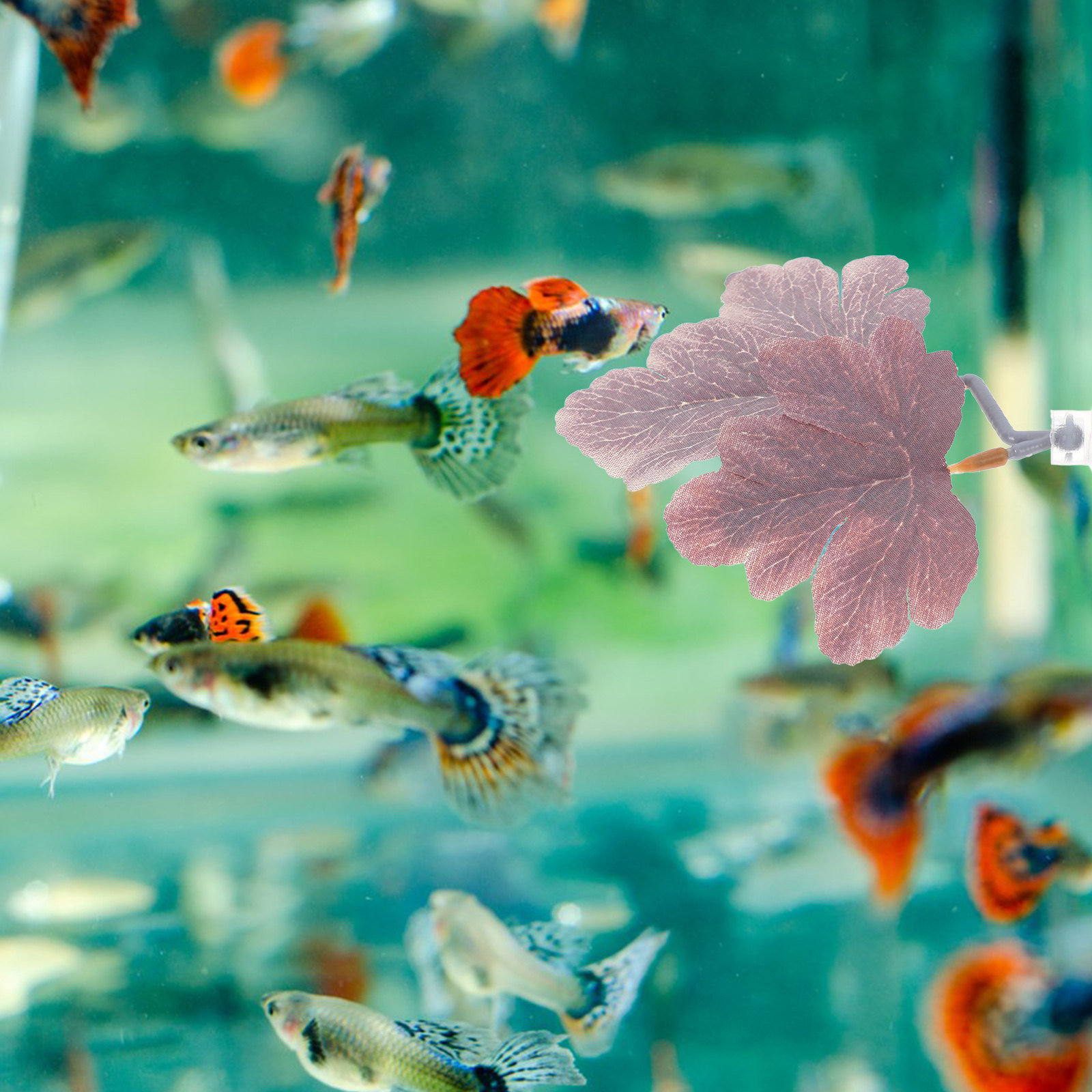 Planted Aquarium For Betta - ベタフィッシュ用リーフハンモック リアルなプラスチック製水槽植物 繁殖・休憩場所 ベタの生息地 水槽装飾品