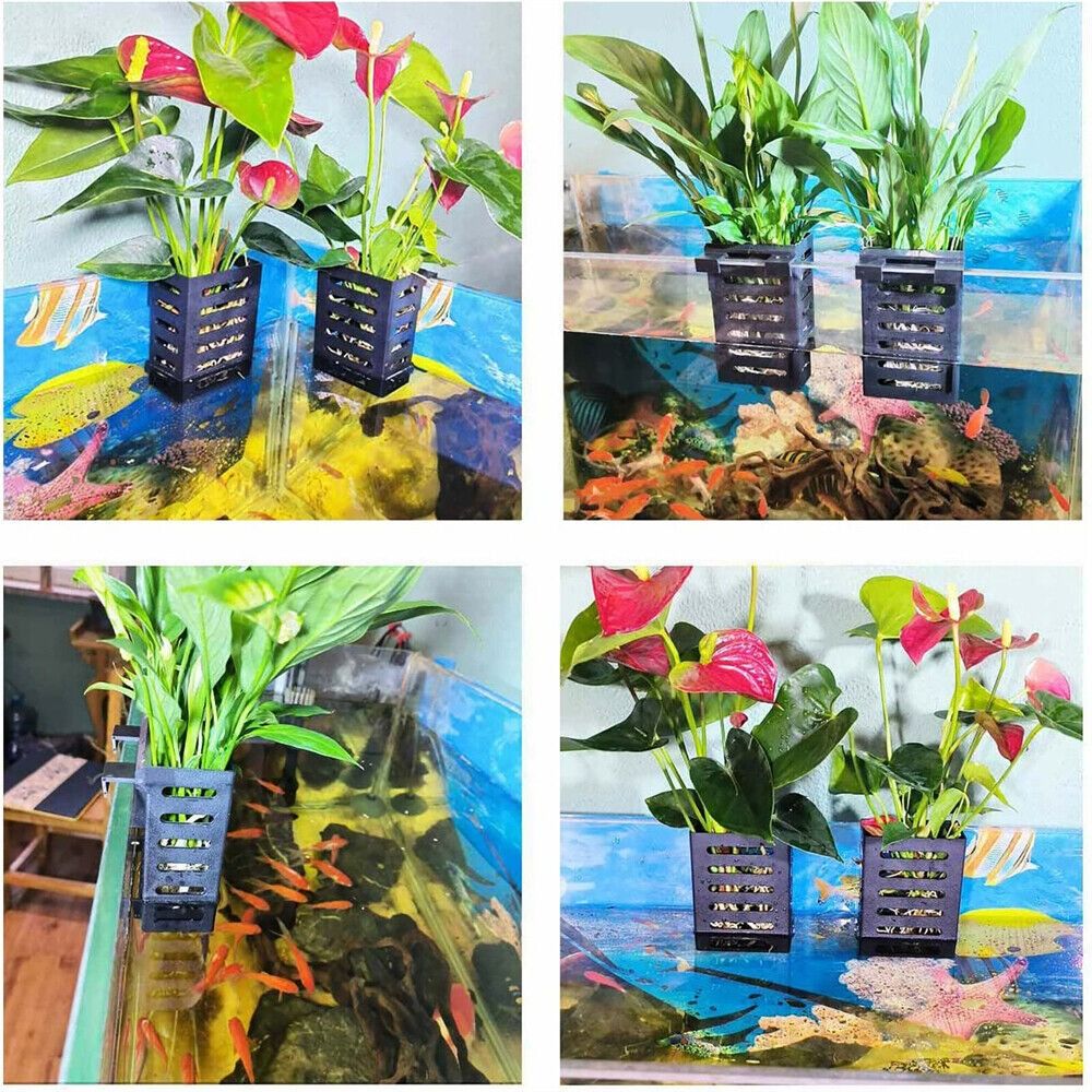 Emersed Plants Aquarium - 水草プランター 水槽用植物ホルダー 水耕栽培プランター 水中植物収納ラック ガラスポット 水景盆栽用容器