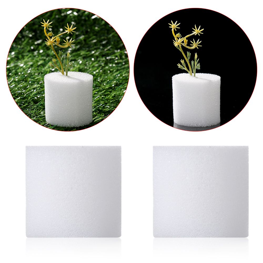 Aquarium Planted Seeds - 耐久性のあるガーデン用品,10/50個,保育園の植物,無水耕栽培のためのシードトレイ
