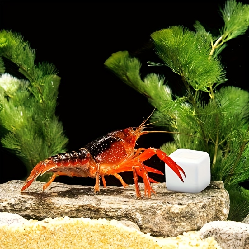 Aquarium Plant Roots - 6個入り 魚タンク用カルシウムブロックミネラル 水槽用品 爬虫類研磨用クロールキューブ 亀用石 カタツムリ用タンクカルシウム