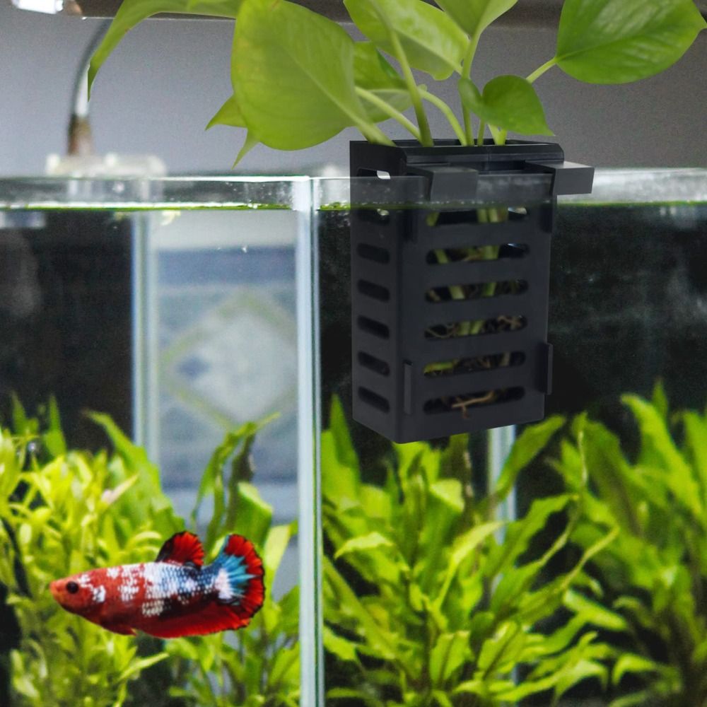 水草植物ホルダー 水耕栽培ガラスポット 水中植物収納ラック  - Emersed Plants Aquarium のレビューと価格