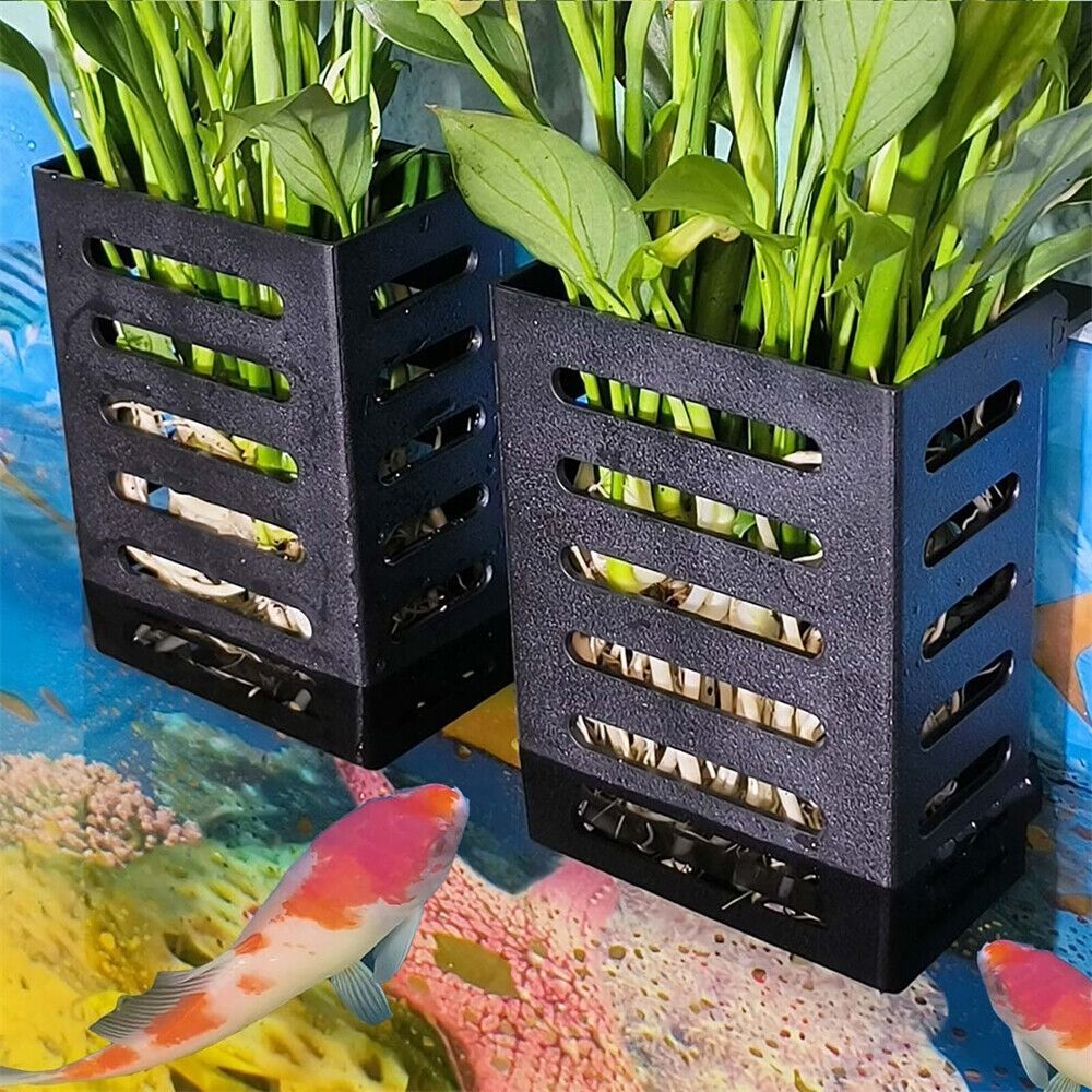 水草植物ホルダー 水耕栽培ガラスポット 水中植物収納ラック  - Emersed Plants Aquarium のレビューと価格