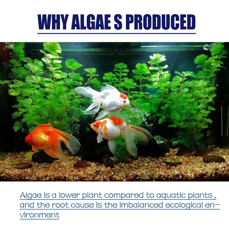 50g高効率藻類駆除剤、水槽・池の藻類・苔の抑制、緑水減少、 - Planted Aquarium Supplies のレビューと価格