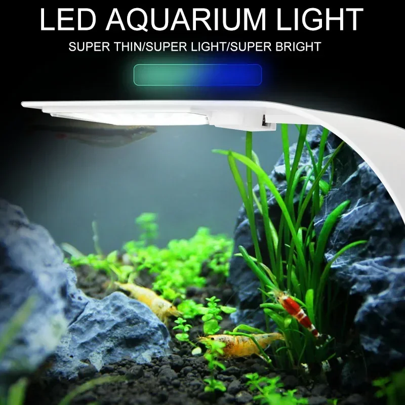 超薄型 LED 水族館ライト 5 ワット/10 ワット/15 - Planted Aquarium Pictures のレビューと価格