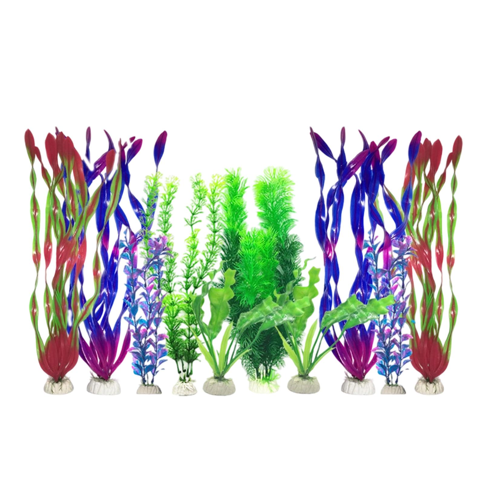 人工水槽植物セット プラスチック製水槽装飾品 リアルな装飾品 - Planted Aquarium For Betta のレビューと価格