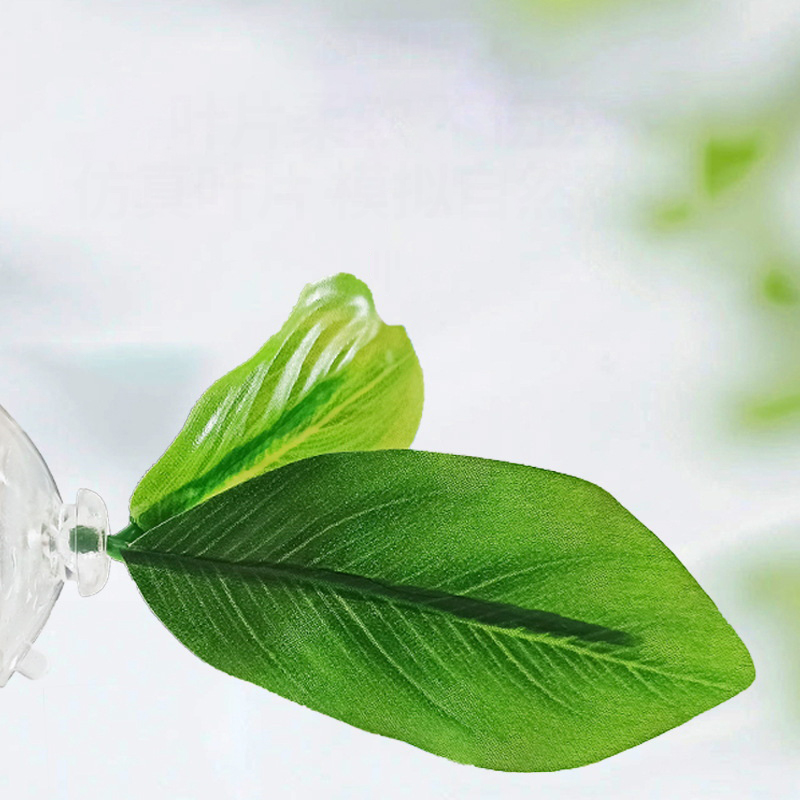 1 個のグリーンリーフハンモック、ベタ魚用ストレス軽減水族館 - Planted Aquarium For Betta のレビューと価格