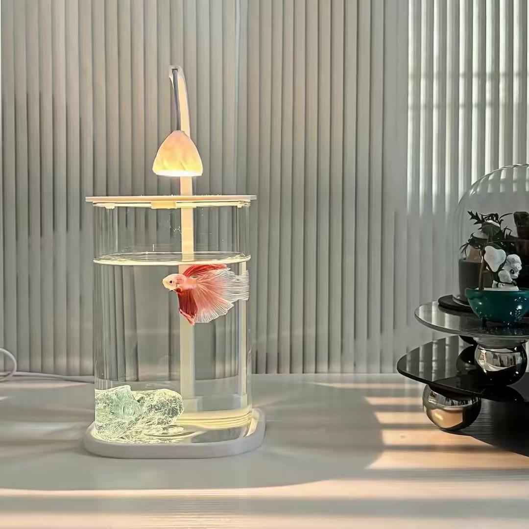 360 °   パノラマクリアデスクトップ水槽 ミニアクアリ - Planted Aquarium For Betta のレビューと価格