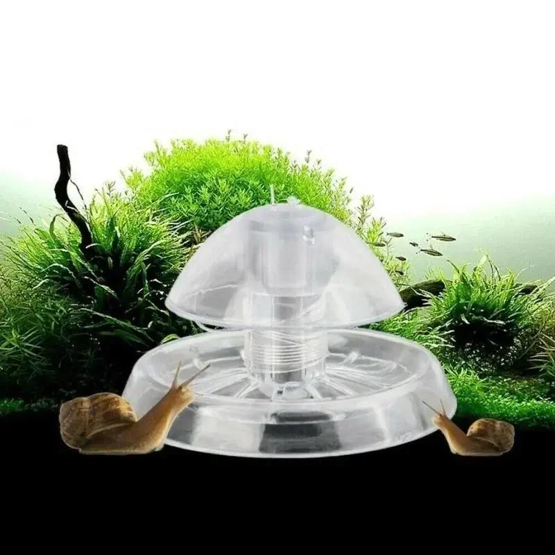 2026年新発売 6/8CM 透明プラスチック製カタツムリ捕 - Planted Aquarium Supplies のレビューと価格