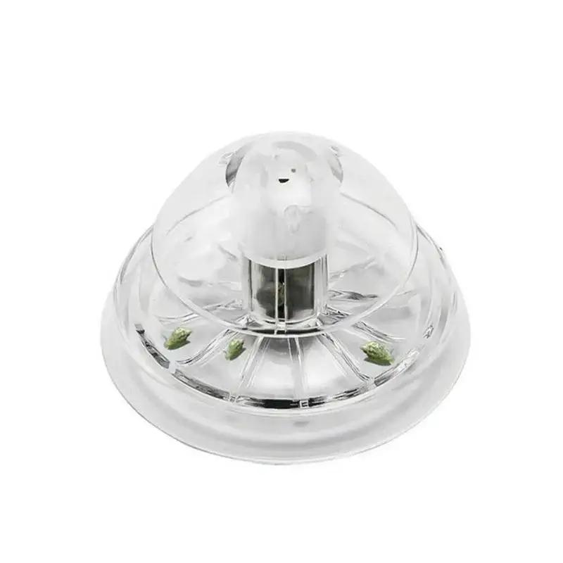 2026年新発売 6/8CM 透明プラスチック製カタツムリ捕 - Planted Aquarium Supplies のレビューと価格