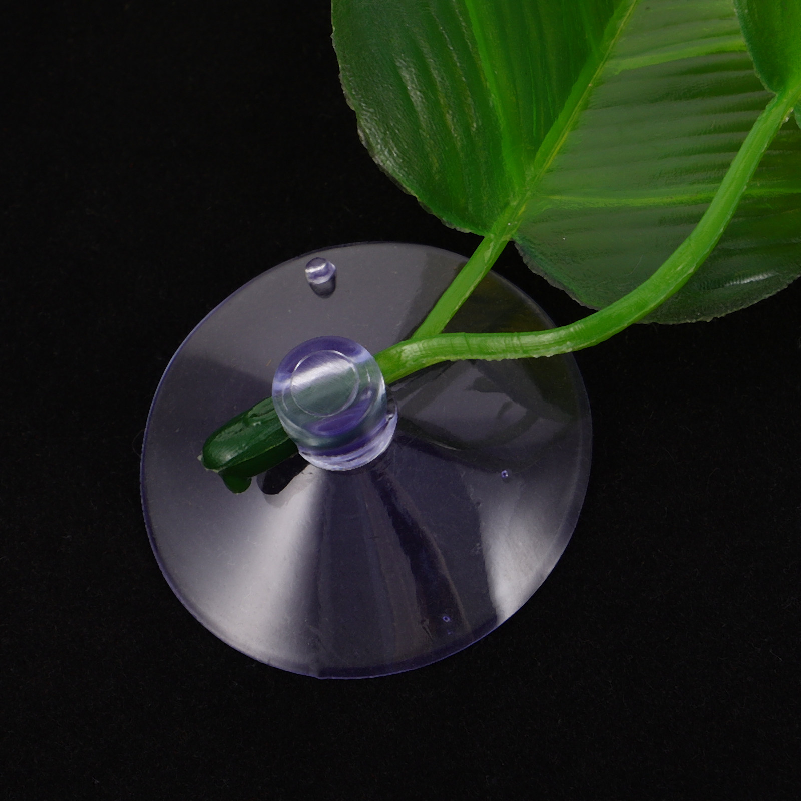 5個入り 模造葉っぱ型ベタフィッシュ休憩フロート 緑色プラス - Planted Aquarium For Betta のレビューと価格