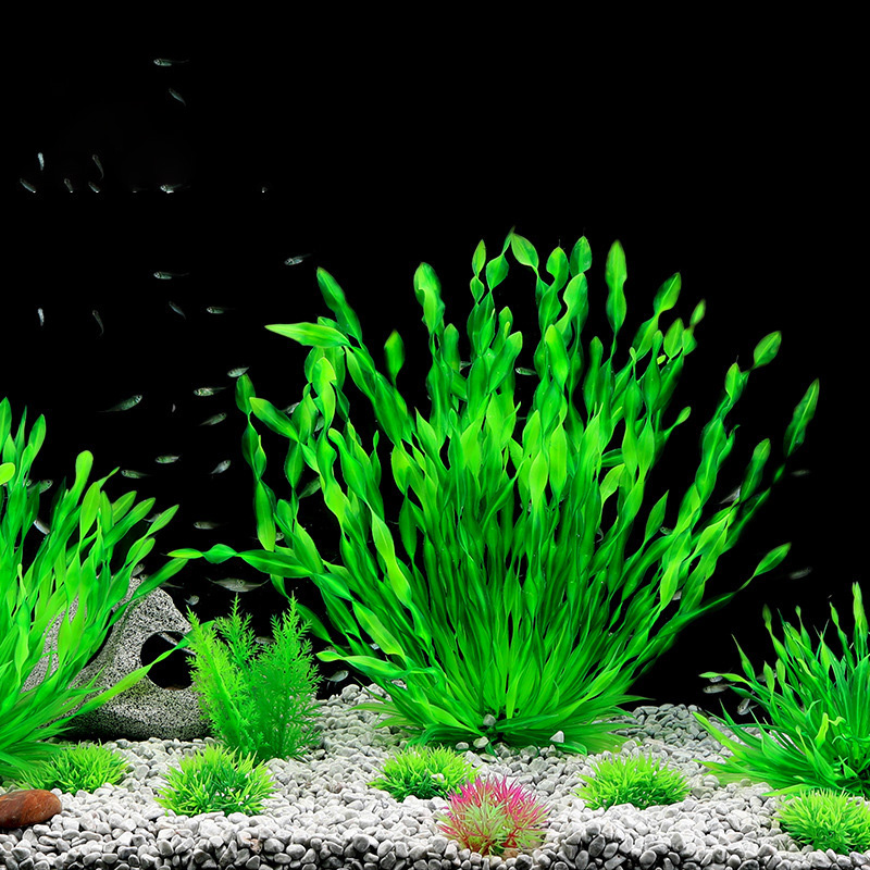 13/23/32/36/40cm水槽人工植物グリーン水中フェ - Aquarium Planted Seeds のレビューと価格