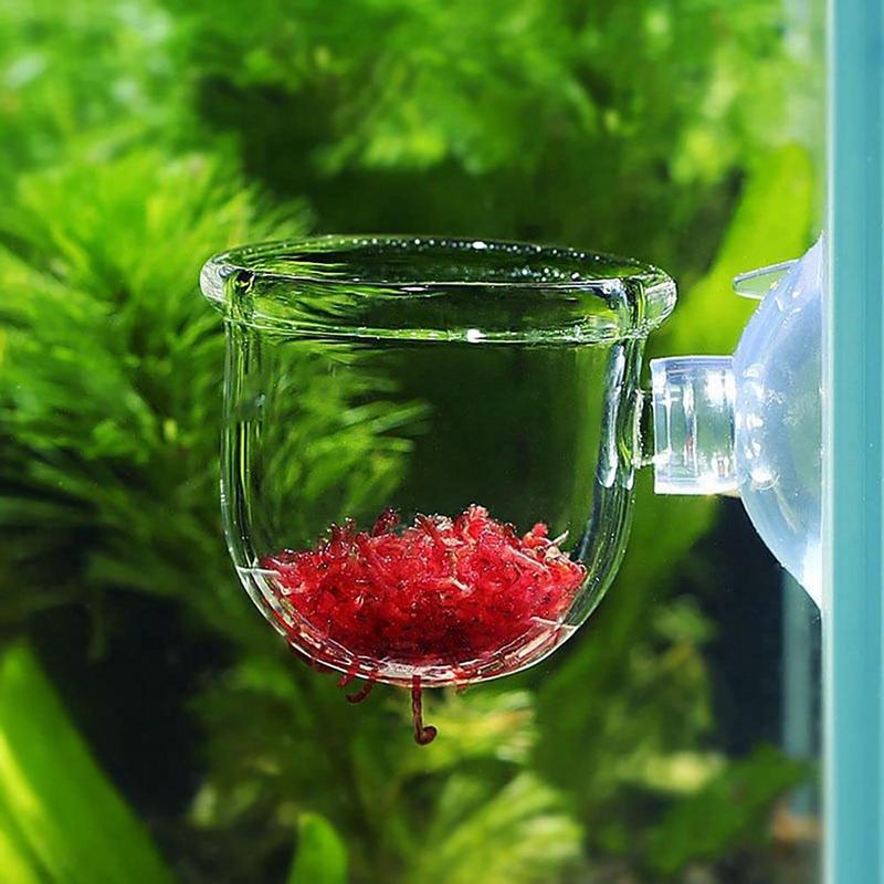 アクリル水生植物カップ水族館水植物ポット水草カップ吸引サンゴ - Aquarium Planted Seeds のレビューと価格