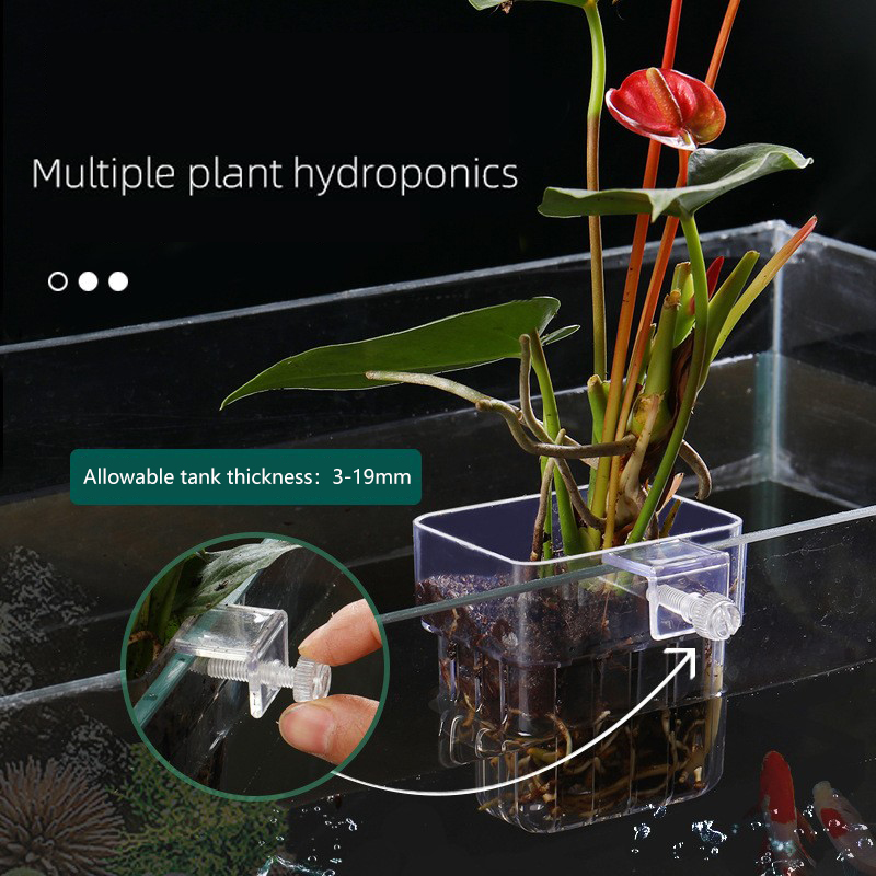 水族館の水耕植物バスケット,高品質,ABS,水耕栽培,種子成 - Aquarium Planted Seeds のレビューと価格