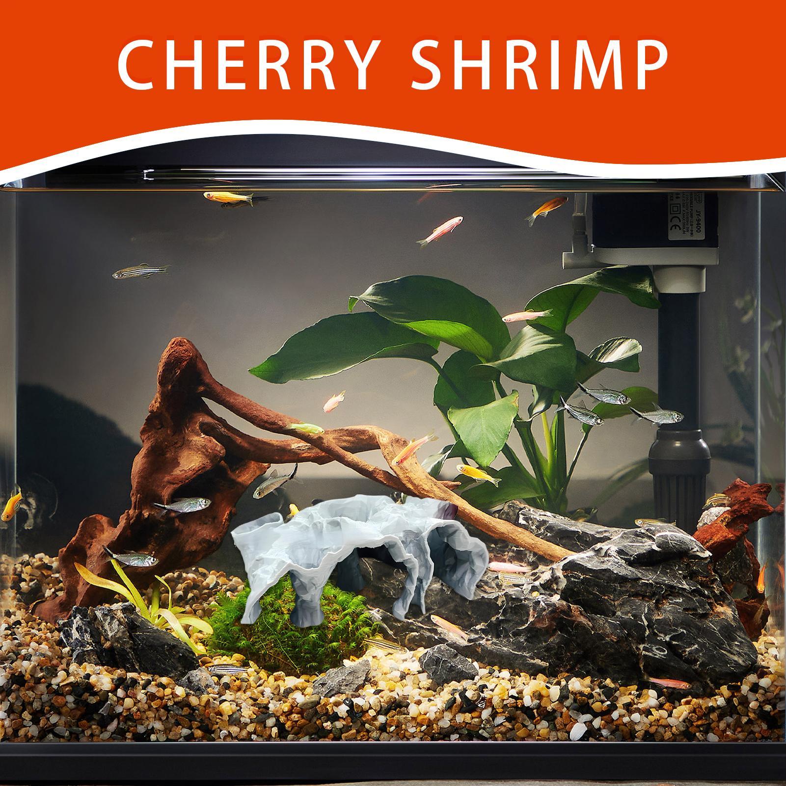 水槽用洞窟型アクアリウム、地下トンネル洞窟、繁殖シェルター、 - Planted Aquarium For Betta のレビューと価格