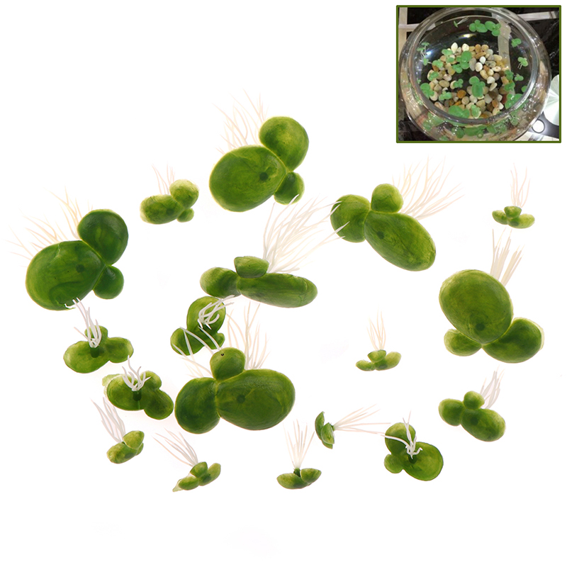 水族館装飾用人工フローティングウォーターセット、18パーツセ - Aquarium Plant Roots のレビューと価格