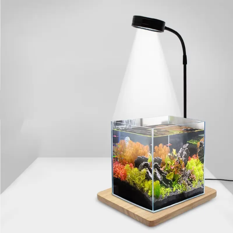 水槽、ベタ、鉢植え、多肉植物、ミニチュア風景用のフルスペクト - Planted Aquarium For Betta のレビューと価格