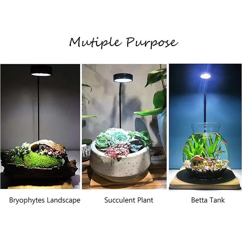 水槽、ベタ、鉢植え、多肉植物、ミニチュア風景用のフルスペクト - Planted Aquarium For Betta のレビューと価格
