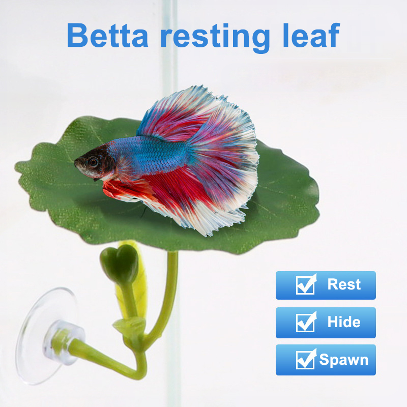 グリーンリーフハンモック ベタ魚用 ストレス軽減 水槽に安全 - Planted Aquarium For Betta のレビューと価格