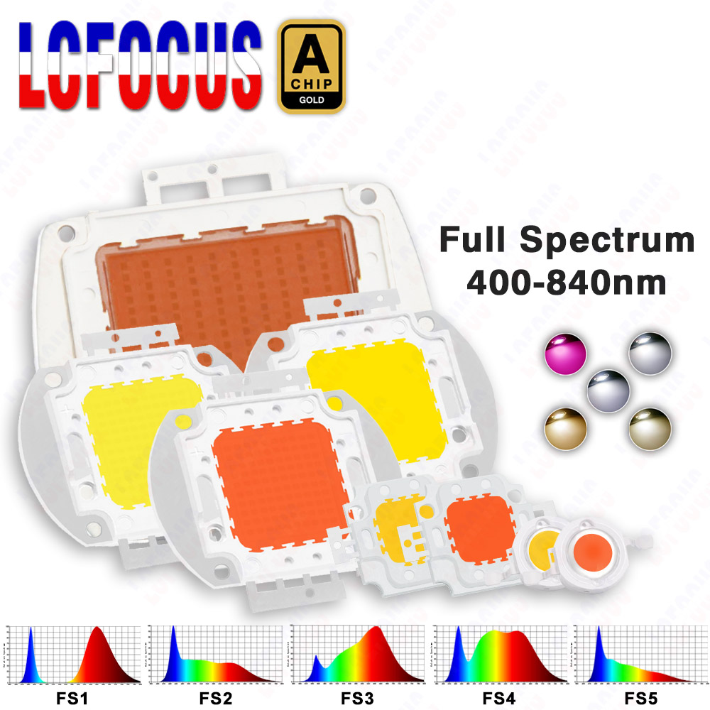 1W 3W 5W 10W 20W 30W 50W 100W  - Aquarium Planted Seeds のレビューと価格