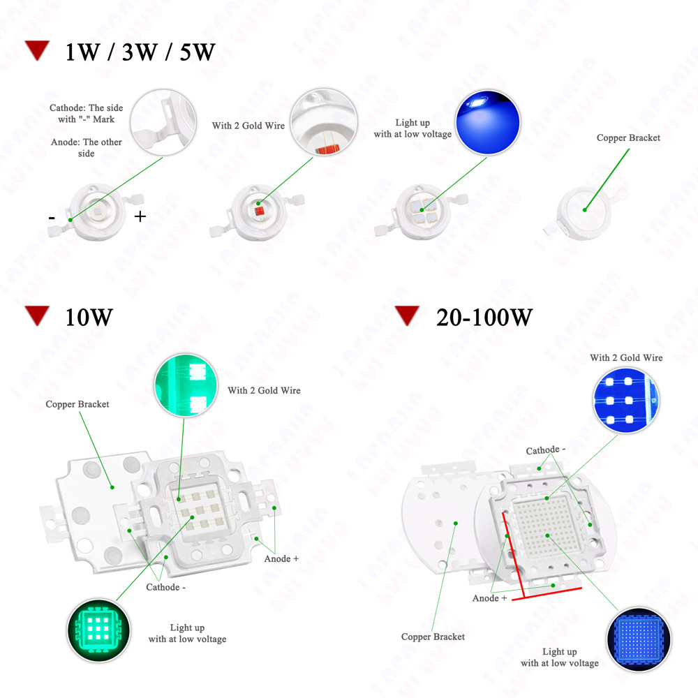 1W 3W 5W 10W 20W 30W 50W 100W  - Aquarium Planted Seeds のレビューと価格