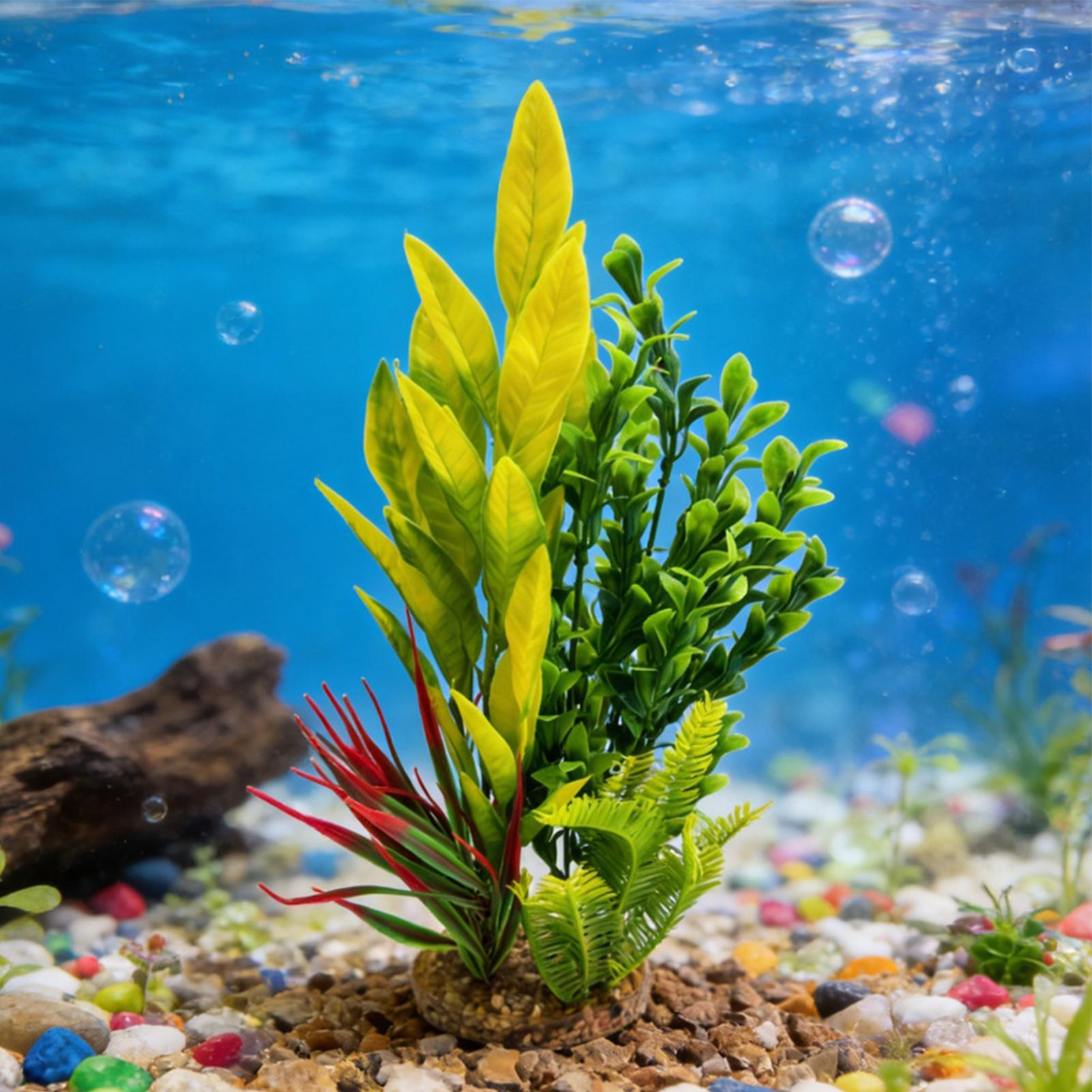 水槽植物 人工エビ水槽装飾 ベタ水槽装飾 繁殖者、趣味家、初 - Planted Aquarium For Betta のレビューと価格