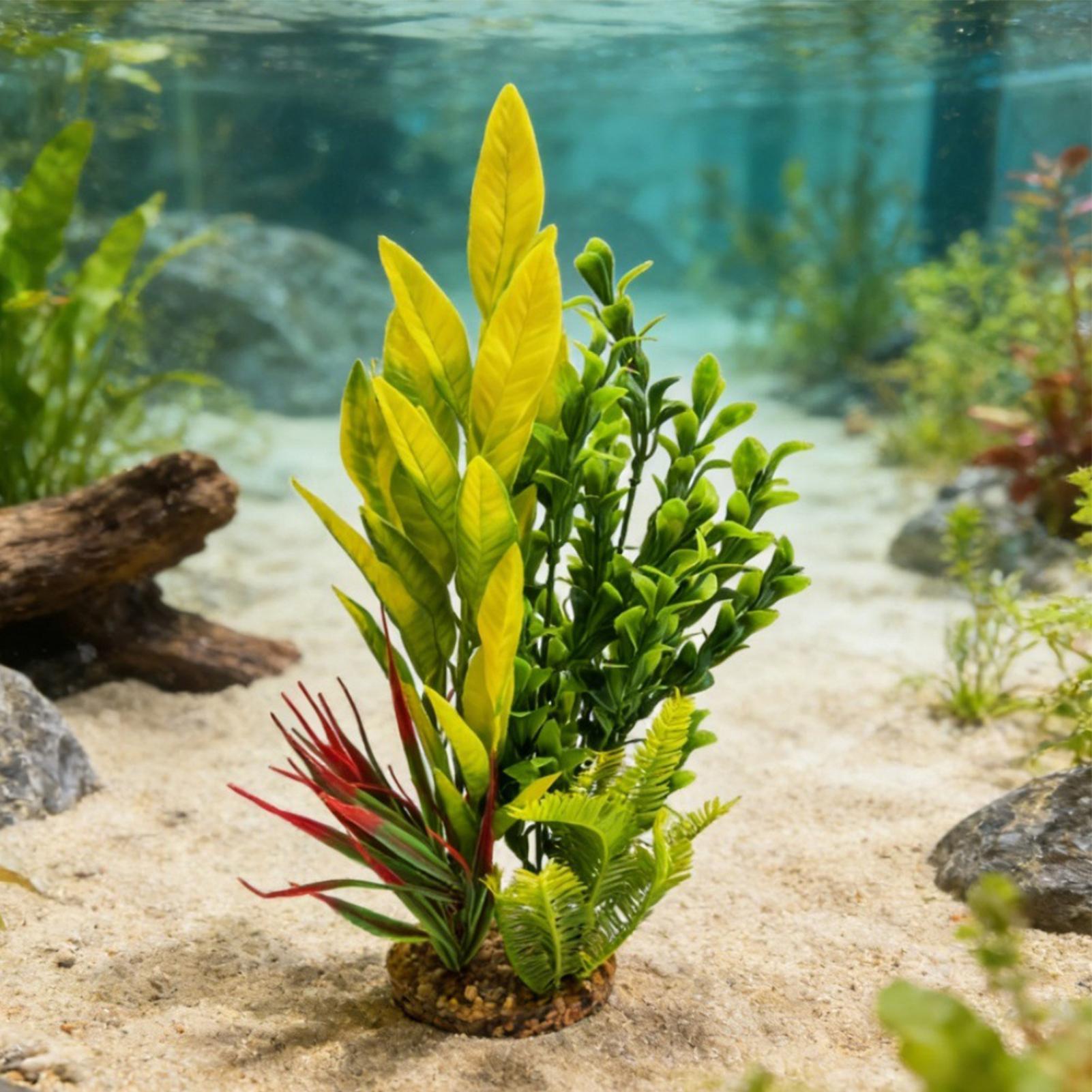 水槽植物 人工エビ水槽装飾 ベタ水槽装飾 繁殖者、趣味家、初 - Planted Aquarium For Betta のレビューと価格