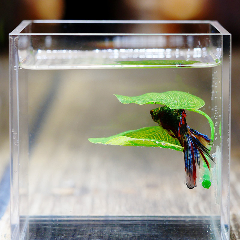 休憩葉、産卵葉、人工水生植物、水槽造園、人工ベタ魚葉 - Planted Aquarium For Betta のレビューと価格