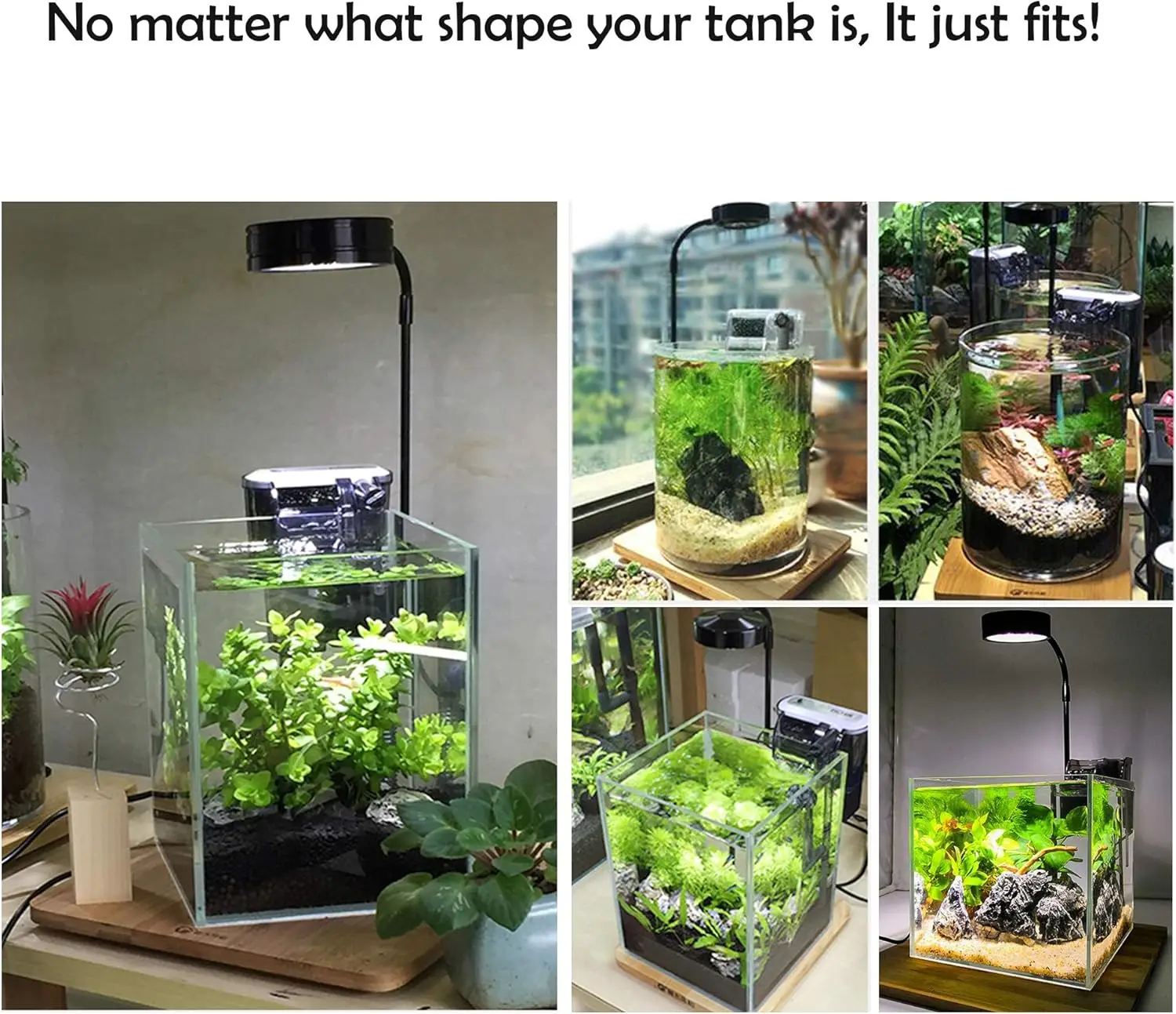 LED水族館グローライト 竹ボード付き 水族館ナノタンク、ベ - Planted Aquarium For Betta のレビューと価格