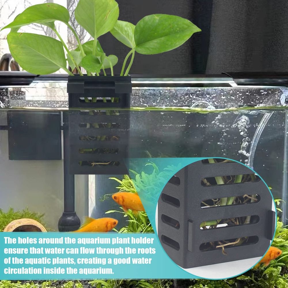 水草水槽用植物ホルダー、水耕栽培水槽、水草収納ラック、ガラス - Emersed Plants Aquarium のレビューと価格