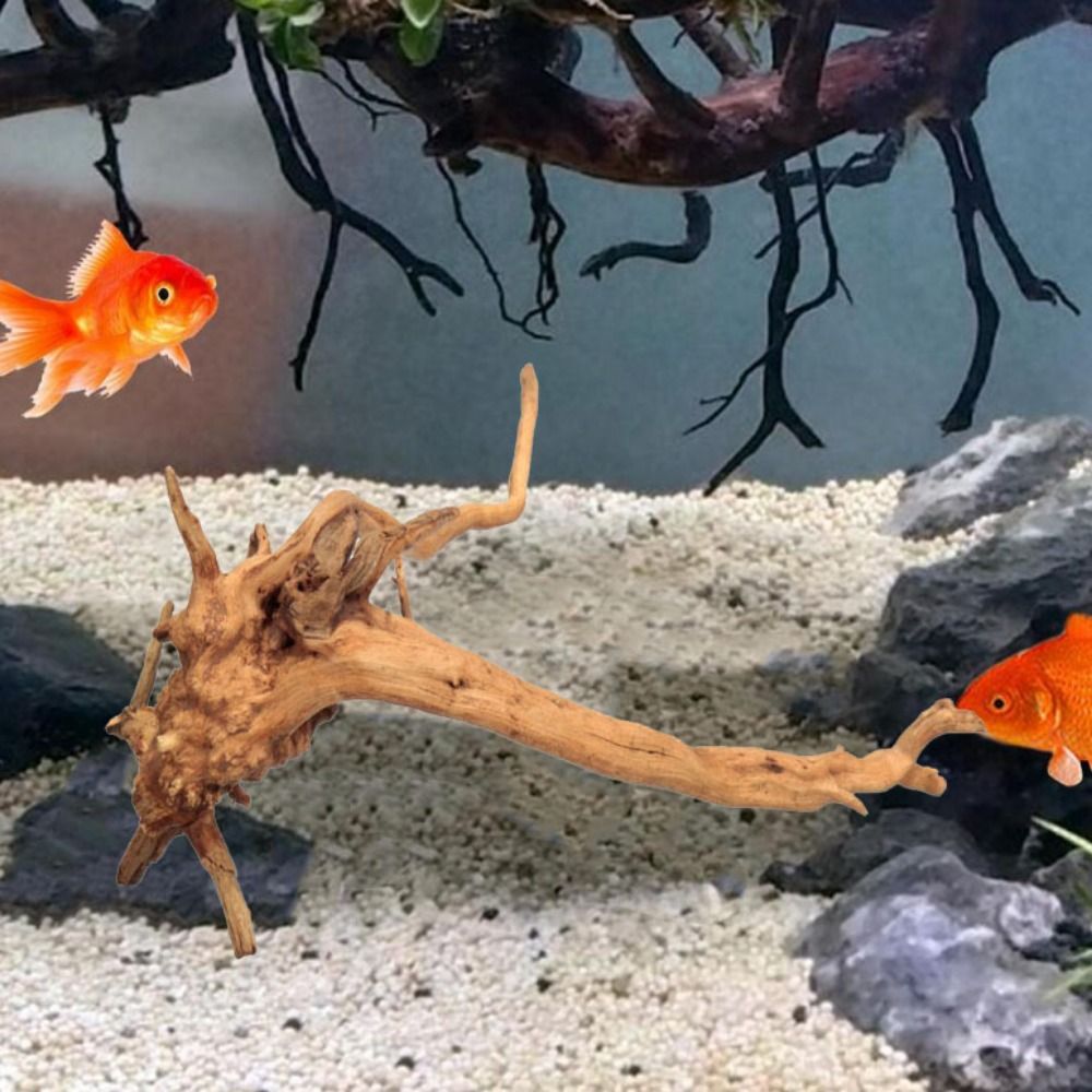 天然木のトランクの装飾水族館の装飾流木の枝造園の装飾品水槽の - Aquarium Plant Roots のレビューと価格