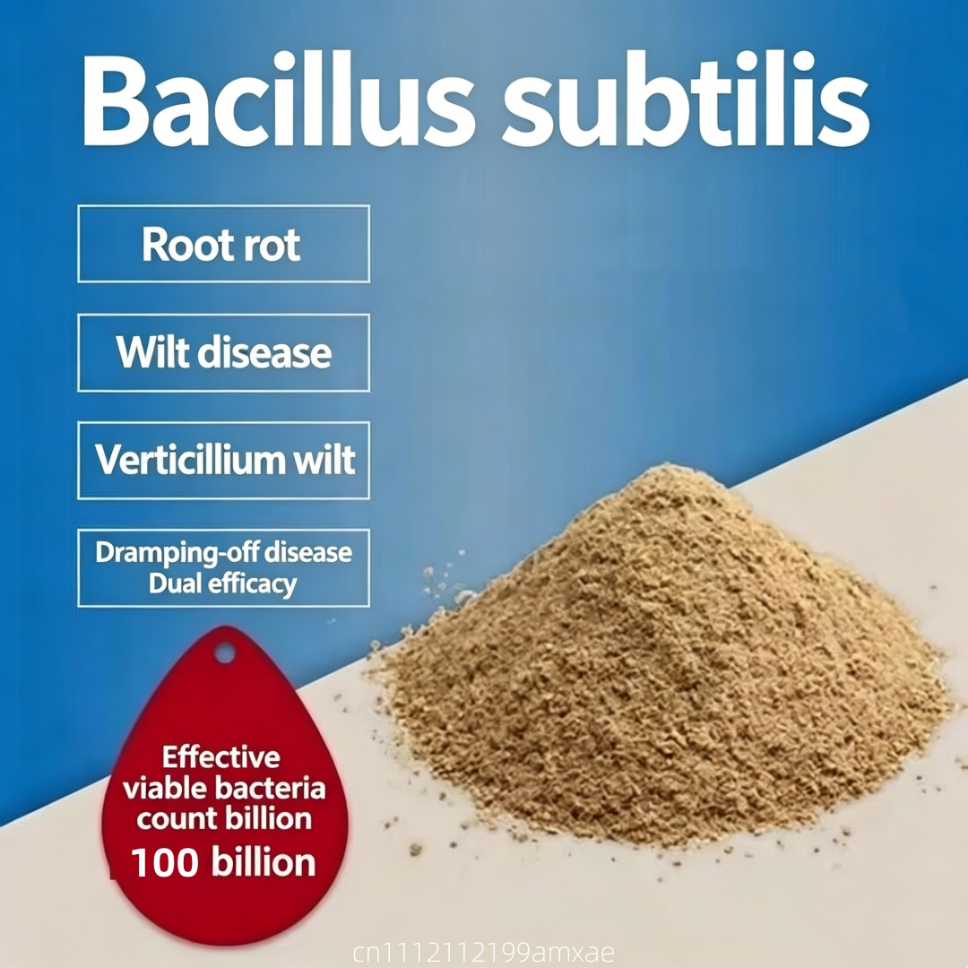 高活性バチルス・サブティリス粉末有機プロバイオティクス肥料（ - Aquarium Plant Root Fertilizer のレビューと価格
