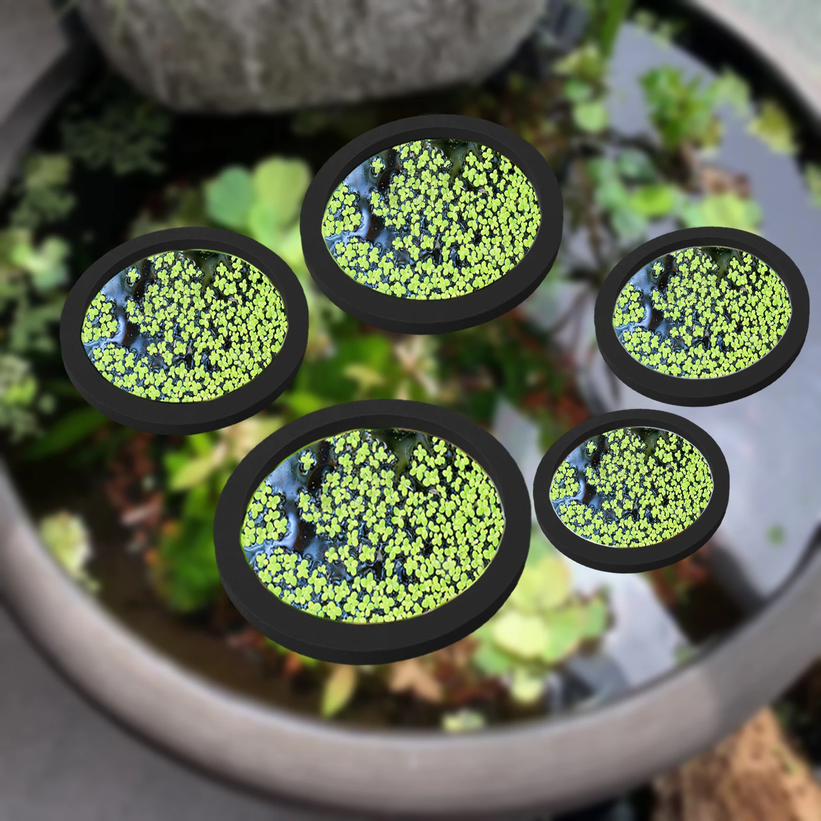 5 個 EVA 魚給餌リング水族館浮遊植物囲い水槽フロート植 - Planted Aquarium Supplies のレビューと価格