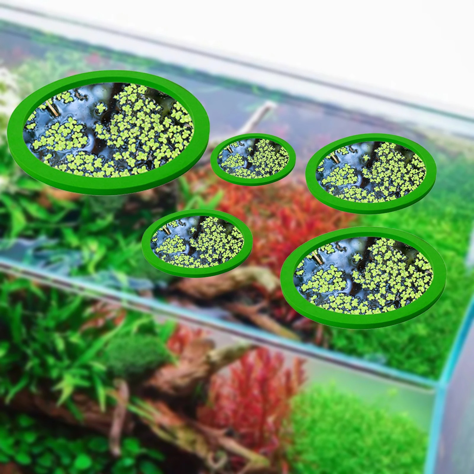 5 個 EVA 魚給餌リング水族館浮遊植物囲い水槽フロート植 - Planted Aquarium Supplies のレビューと価格