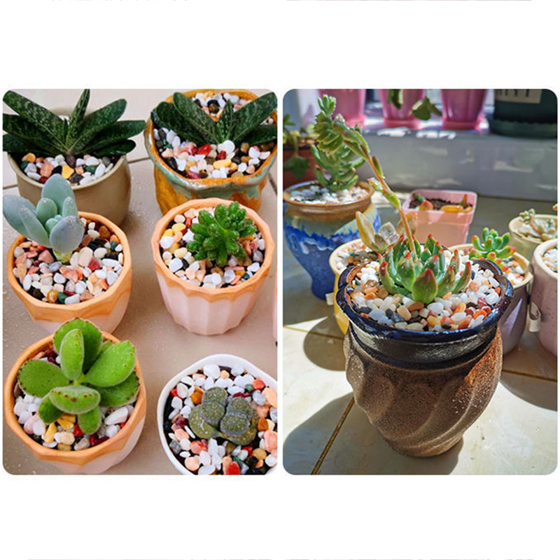 天然砂利石 200 〜 1000 グラムマイクロ風景庭園水槽 - Aquarium Plant Gravel のレビューと価格