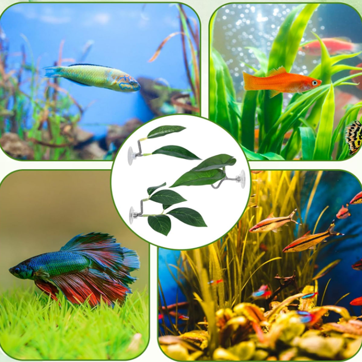1 PC ベタフィッシュハンモック ソフト水槽装飾 プラスチ - Planted Aquarium For Betta のレビューと価格