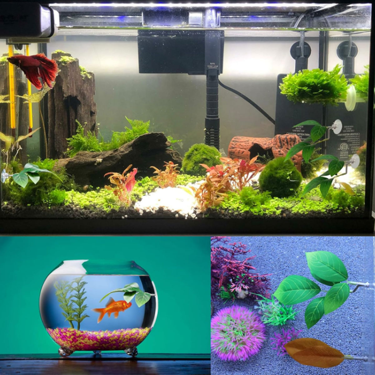 1 PC ベタフィッシュハンモック ソフト水槽装飾 プラスチ - Planted Aquarium For Betta のレビューと価格