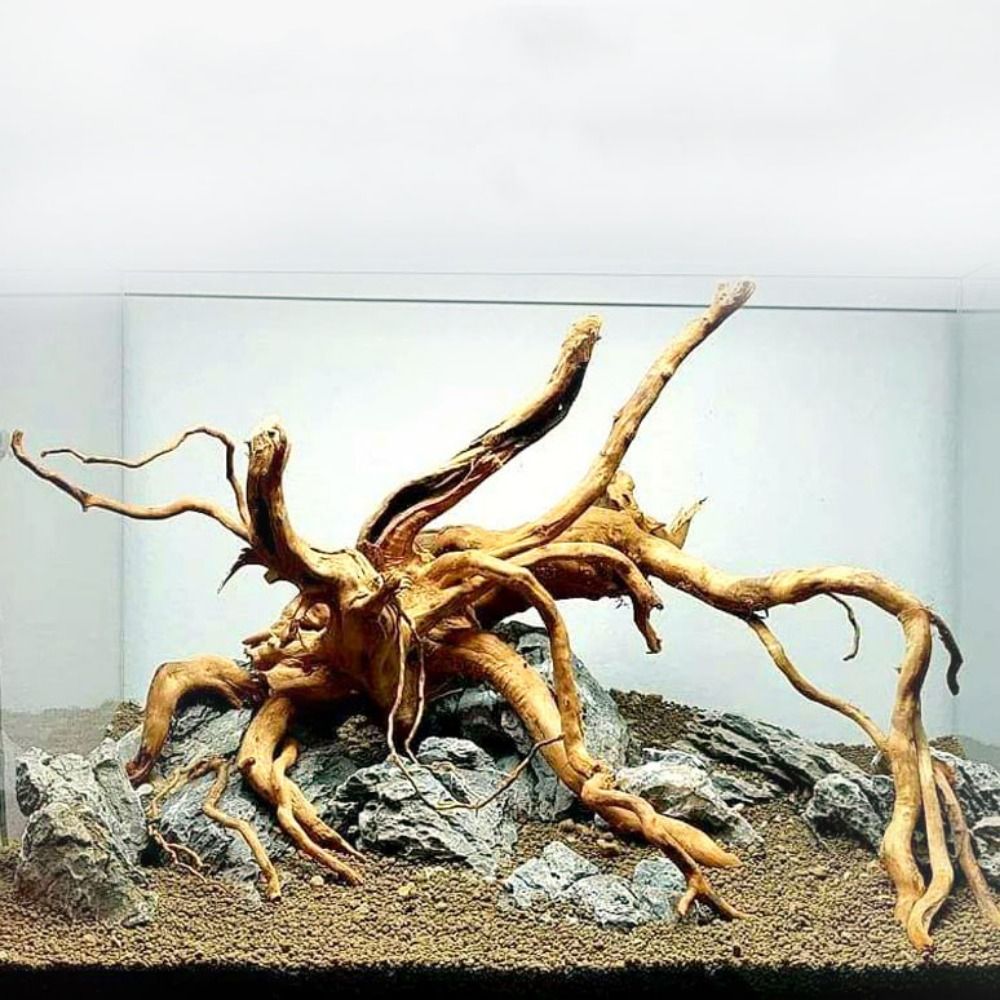 20-25CM大型水槽流木天然魚タンク植物装飾ツリーフィッシ - Aquarium Plant Roots のレビューと価格