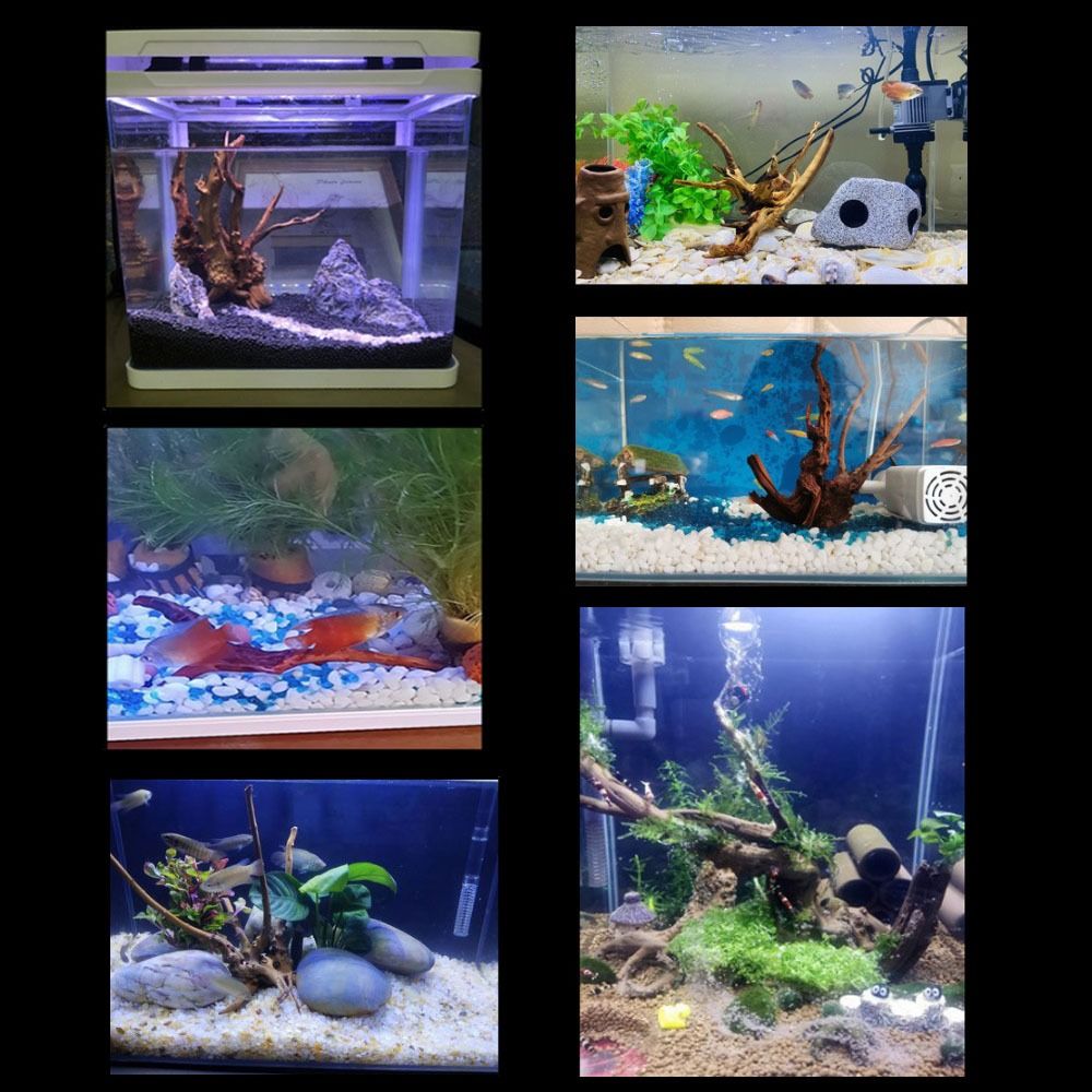 20-25CM大型水槽流木天然魚タンク植物装飾ツリーフィッシ - Aquarium Plant Roots のレビューと価格