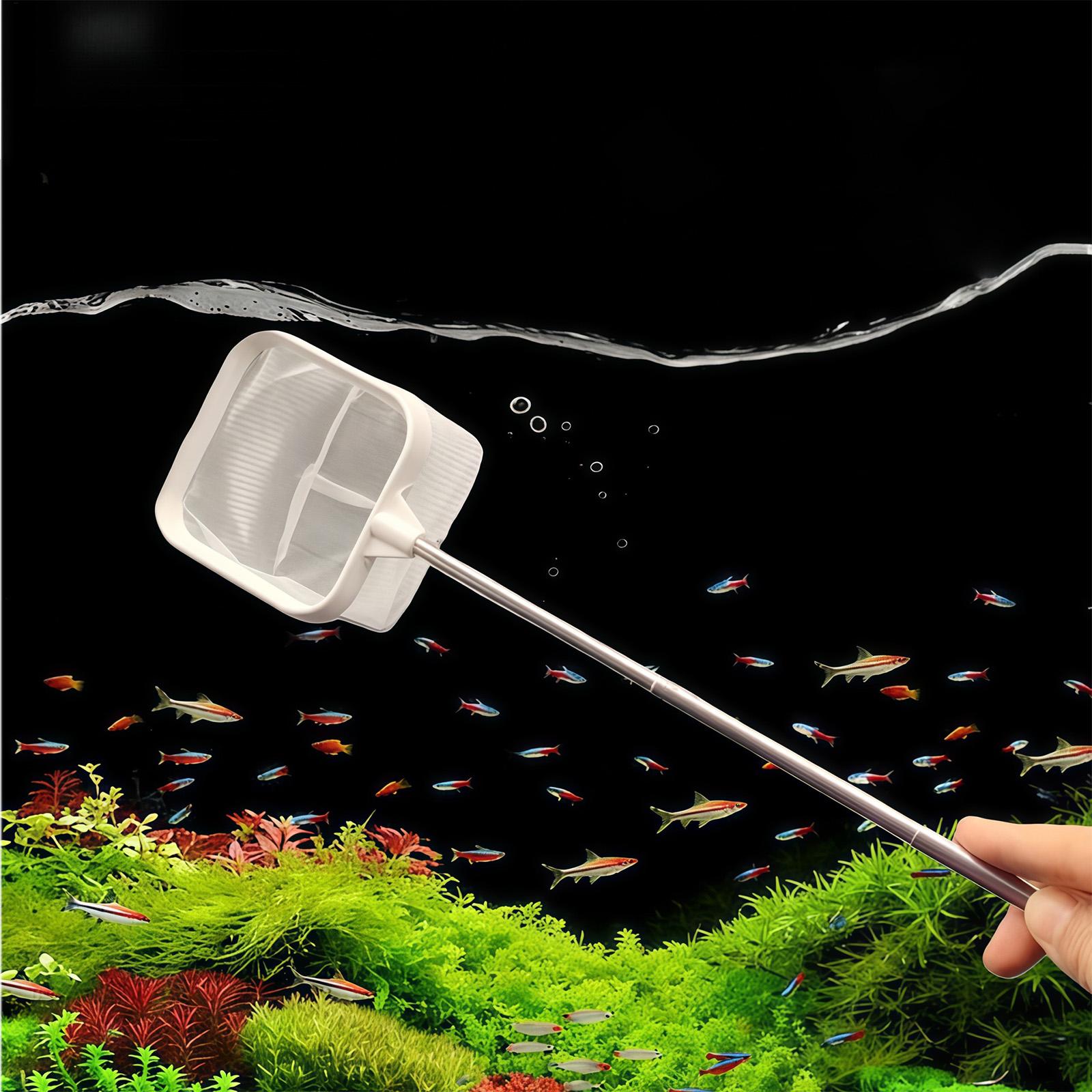 伸縮式ロングハンドルファインメッシュネット水槽魚スキマー池プ - Aquarium Plant Roots のレビューと価格