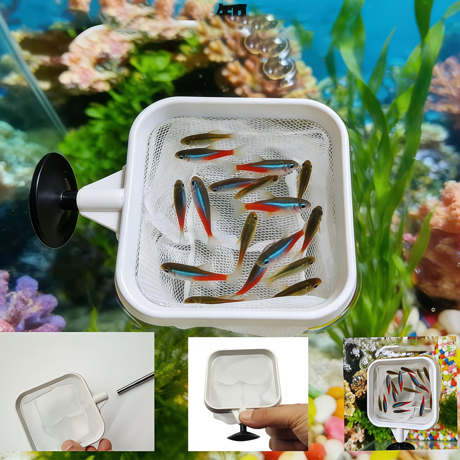 伸縮式ロングハンドルファインメッシュネット水槽魚スキマー池プ - Aquarium Plant Roots のレビューと価格