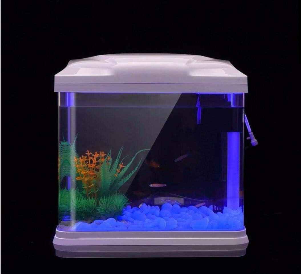 水槽岩グローブルー小石庭用水槽水族館植木鉢盆栽歩道私道 - Planted Aquarium Supplies のレビューと価格