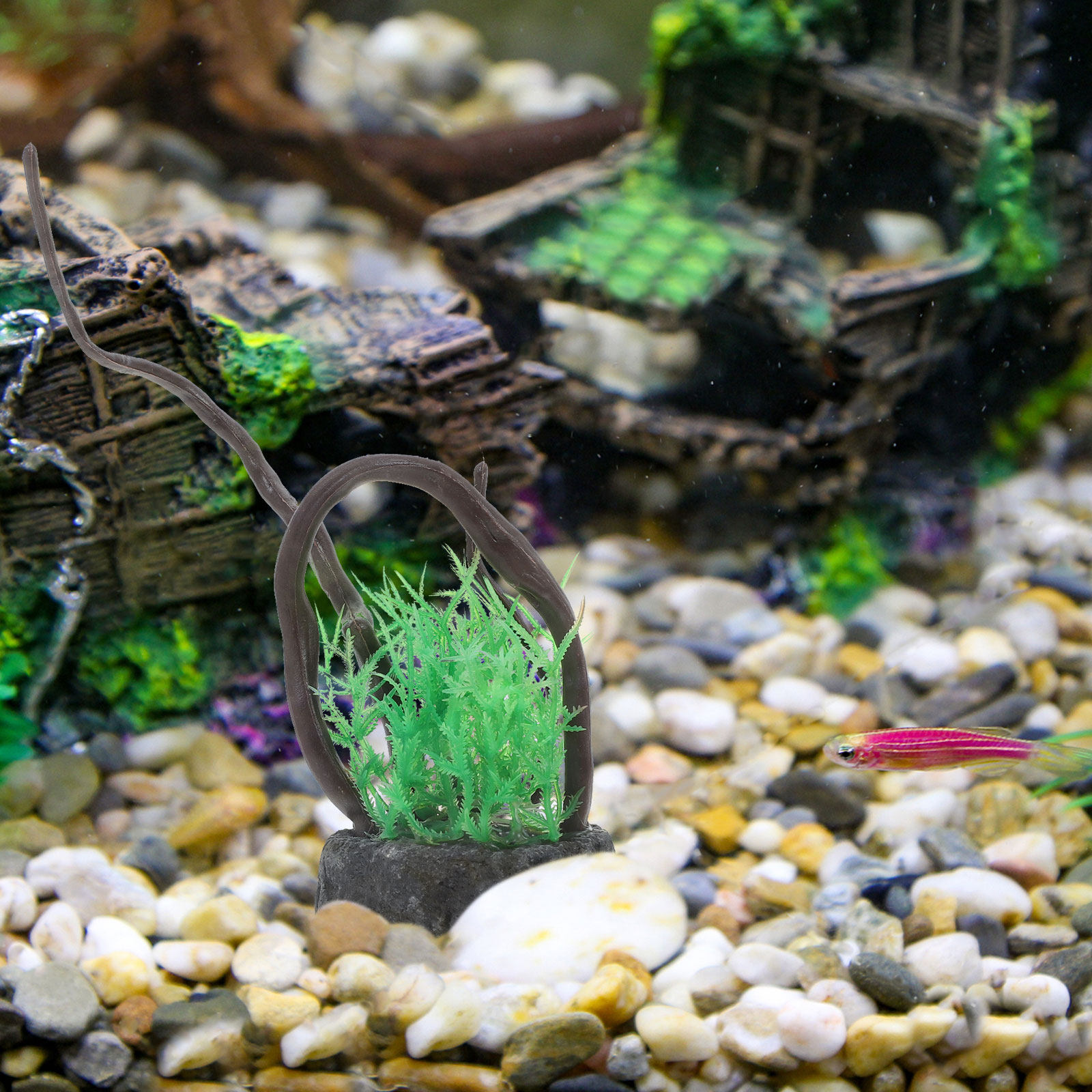人工水槽用根の装飾品、リアルな水槽用シミュレーション植物、安 - Aquarium Plant Roots のレビューと価格