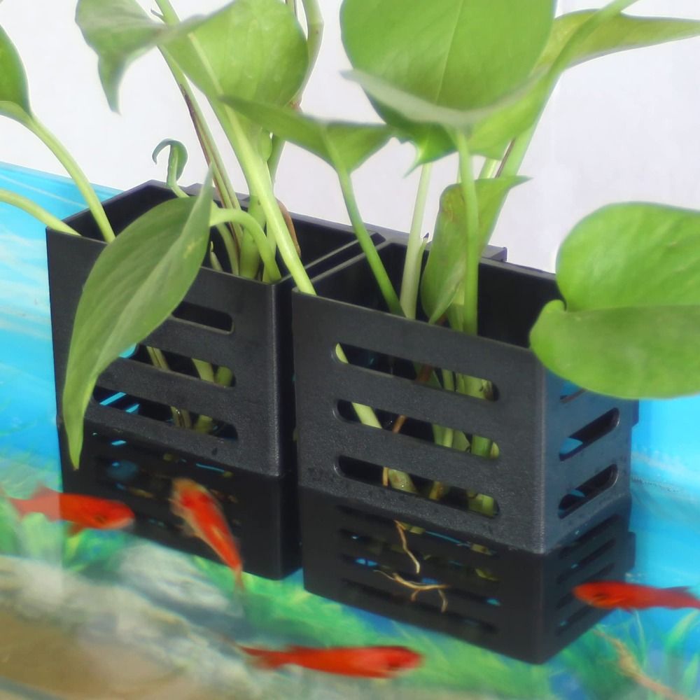 水草プランター 水槽用植物ホルダー 水耕栽培プランター 水中 - Emersed Plants Aquarium のレビューと価格
