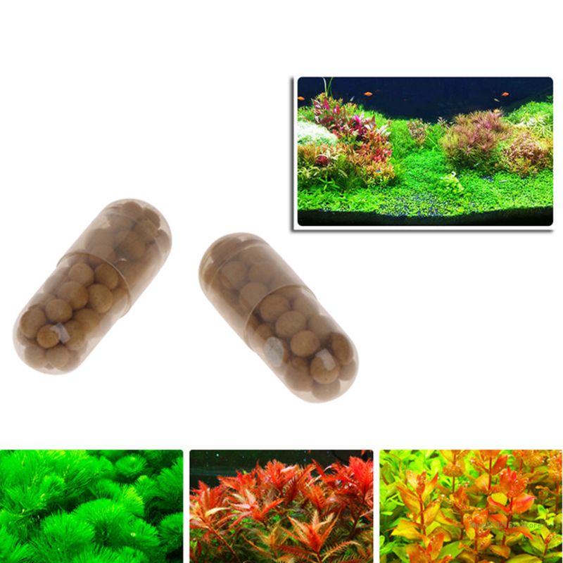 QX2E 水族館生きた植物肥料ルートタブ数量 40 カプセル - Aquarium Plant Root Fertilizer のレビューと価格
