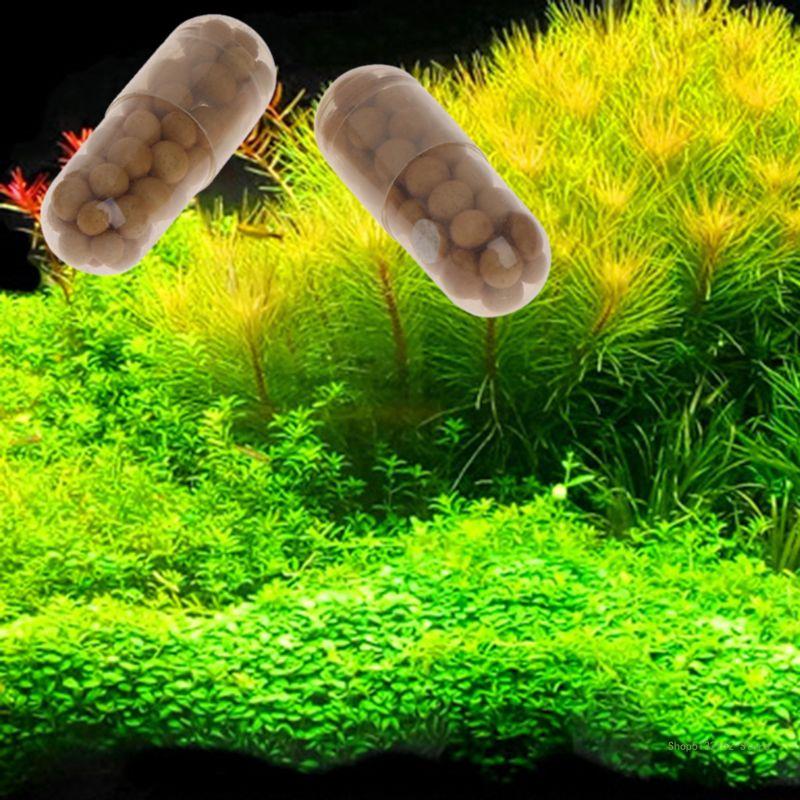 QX2E 水族館生きた植物肥料ルートタブ数量 40 カプセル - Aquarium Plant Root Fertilizer のレビューと価格