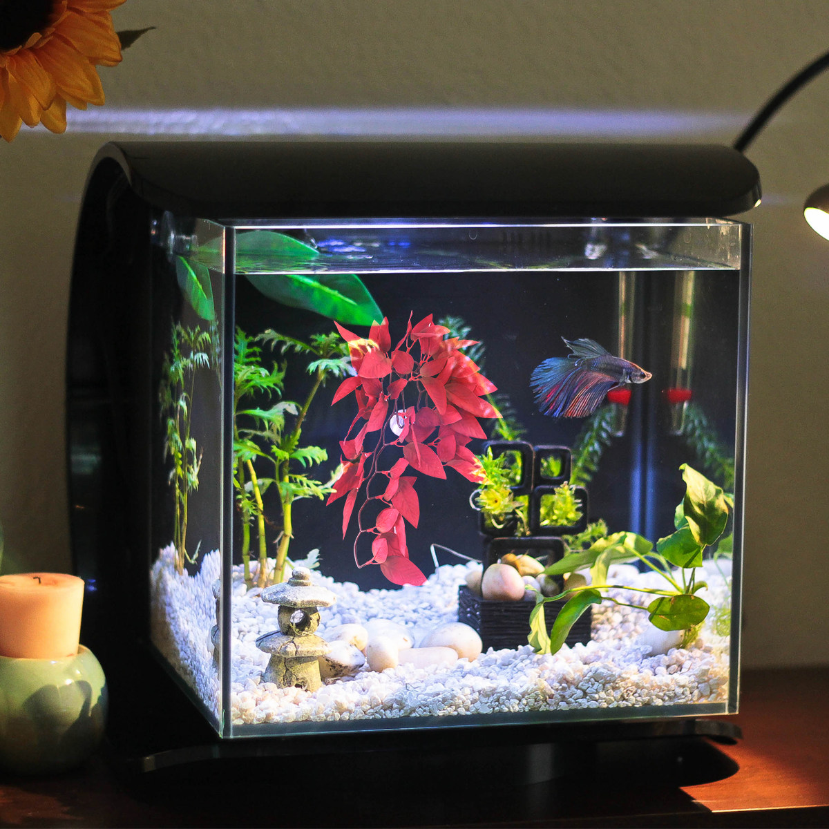 リアルな樹脂製水槽用植物、魚タンク装飾用、本物のような人工水 - Planted Aquarium For Betta のレビューと価格
