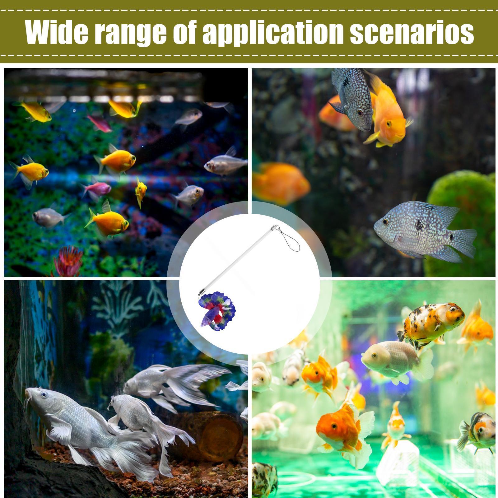 ベタ用フィッシュトレーニングワンド インタラクティブエンリッ - Planted Aquarium For Betta のレビューと価格